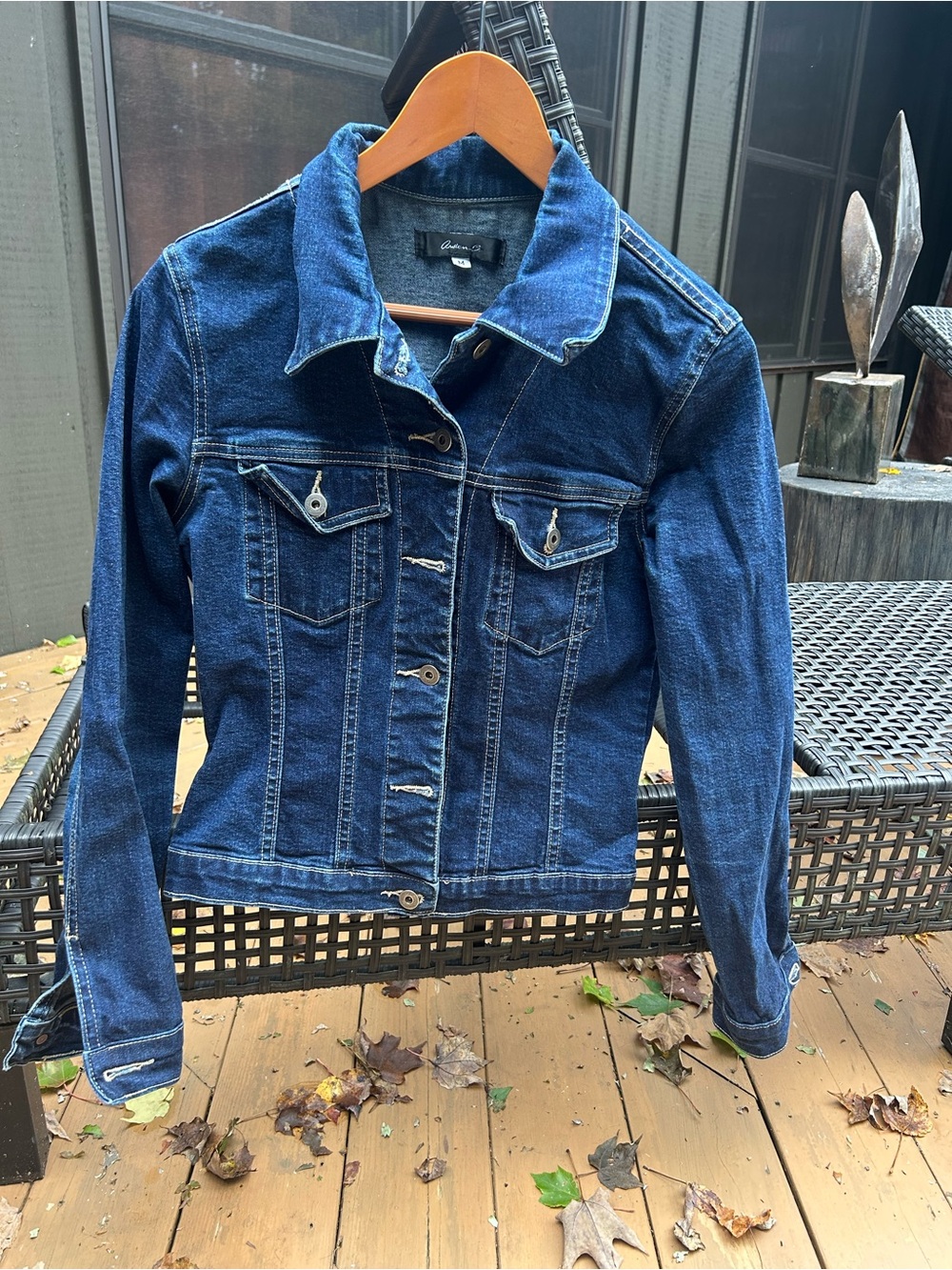 Arden B Blue Denim Jean Jacket